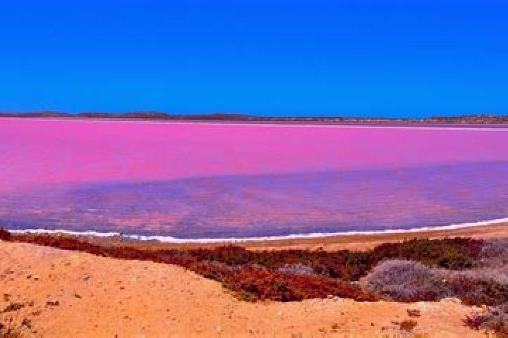 Madison, 28 — Escort in Pink Lake, Australia