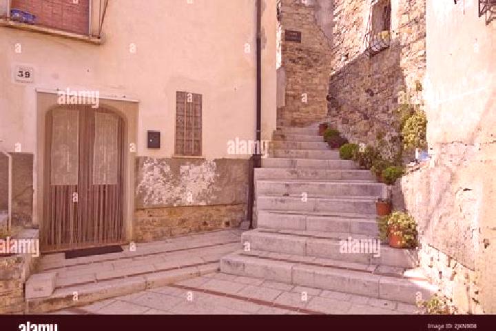 Madison, 28 — Escort in San Bartolomeo In Bosco, Italy