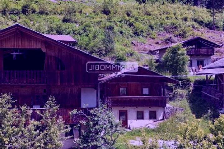 Madison, 28 — Escort in Selva dei Molini, Italy