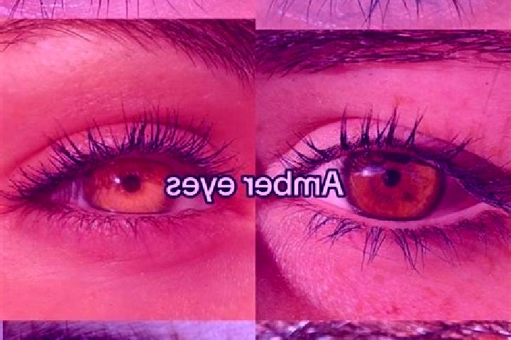 Madison, 29, a chestnut amber-eyed indian companion based in Paladina. Offering GFE, BDSM, Massage, OWO. Available for incall and outcall, day and evening da...