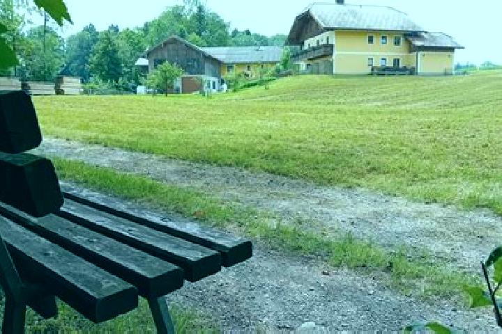Madison, 29 — Escort in Eugendorf, Austria