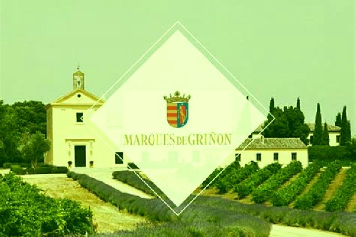 Madison, 29 — Escort in Grinon, Spain