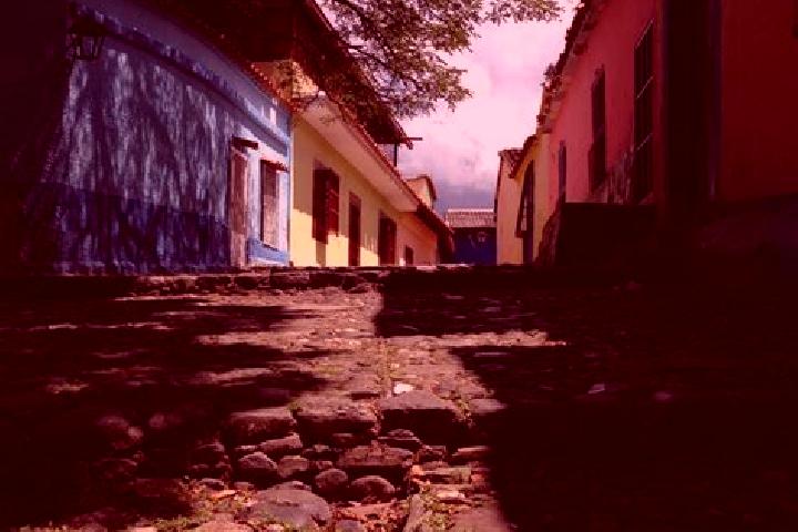 Madison, 29 — Escort in Guarenas, Venezuela