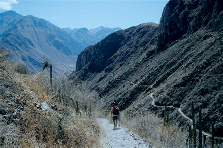 Madison, 29 — Escort in Huayllo, Peru
