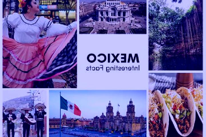 Madison, 30 — Escort in Ahuacatitla, Mexico