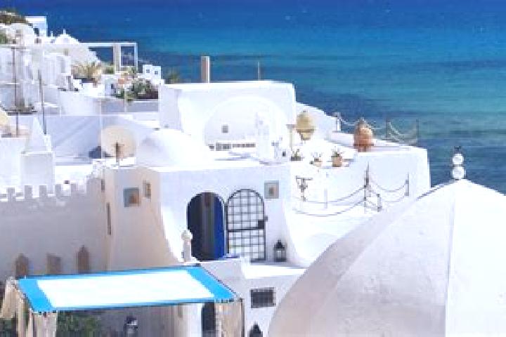 Madison, 30 — Escort in Borj el Amri, Tunisia