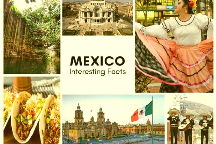 Madison, 30 — Escort in Francisco Rueda, Mexico