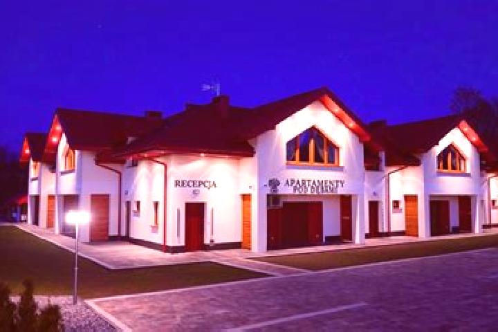 Madison, 30 — Escort in Odrzechowa, Poland