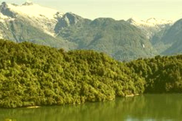 Madison, 30 — Escort in Puerto Chacabuco, Chile