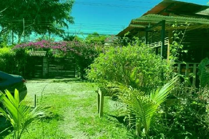 Madison, 30 — Escort in Sabalito, Costa Rica