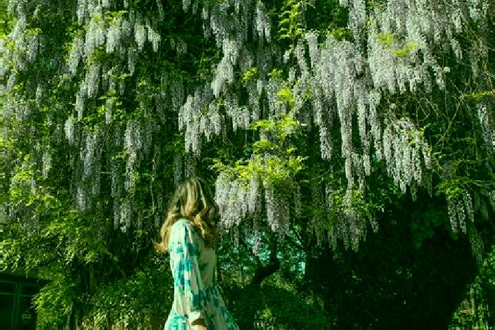 Madison, 30 — Escort in Schitu Scoicesti, Romania