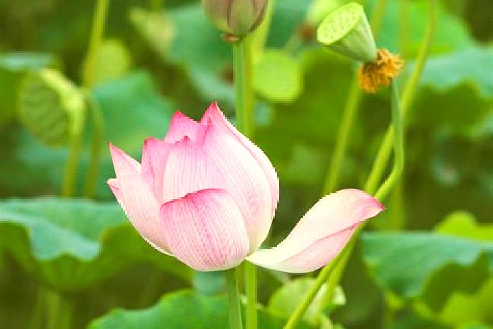 Madison, 30 — Escort in Wufu, China