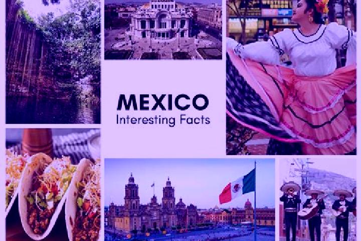 Madison, 30 — Escort in Zamachihue, Mexico