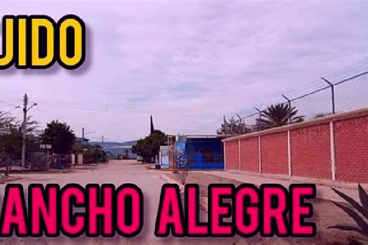 Madison, 31 — Escort in Ejido Rancho Alegre, Mexico