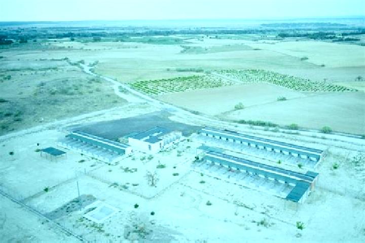 Madison, 31 — Escort in Nuevo Refugio de Afuera (Nuevo Refugio), Mexico