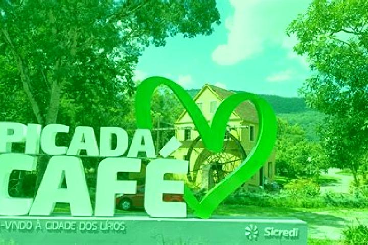 Madison, 31 — Escort in Picada Cafe, Brazil
