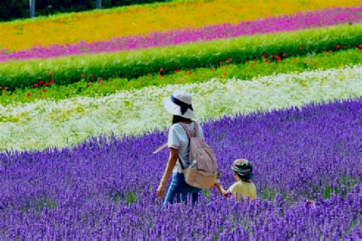 Madison, 31 — Escort in Shimo-furano, Japan