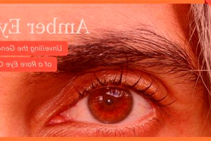 Madison, 32, a black amber-eyed mixed companion based in Galesh Kalam. Offering Overnight, Travel Companion, 69. Available for incall and outcall, overnight ...