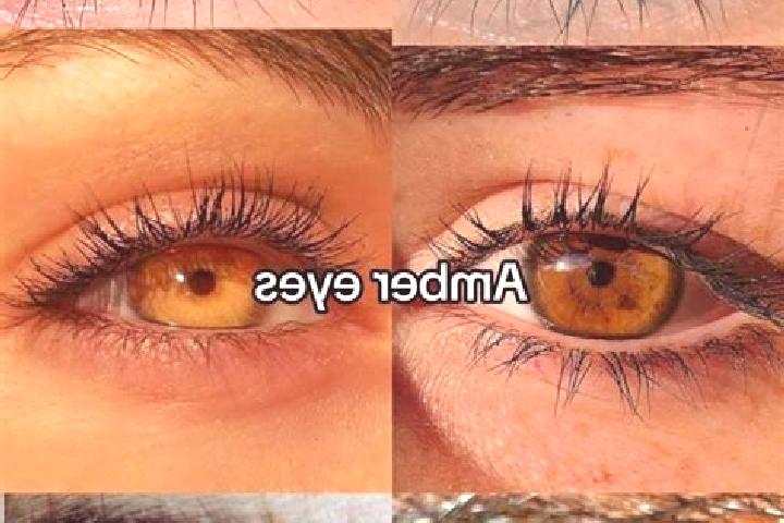 Madison, 32, a chestnut amber-eyed indian companion based in Ovt. Offering CIM, Massage, Domination. Available for incall and outcall, overnight bookings ava...