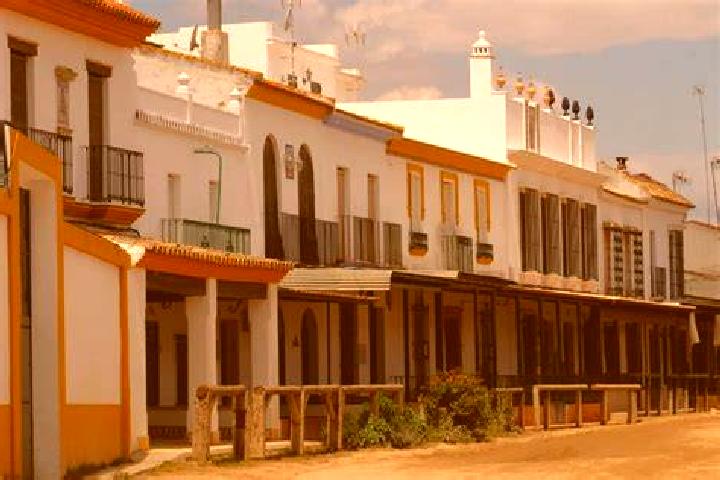 Madison, 32 — Escort in Aldea del Cano, Spain