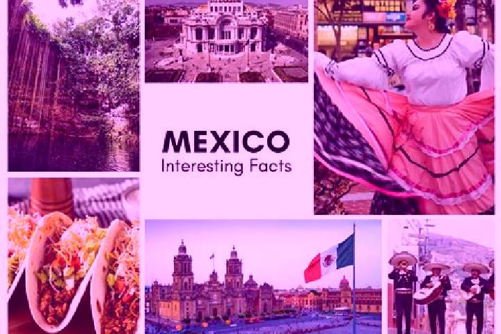 Madison, 32 — Escort in Camargo, Mexico