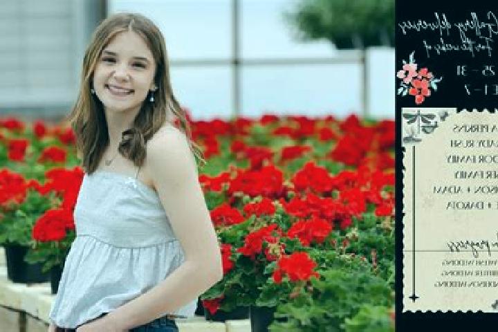 Madison, 32 — Escort in Crespadoro, Italy