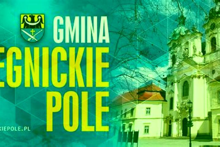 Madison, 32 — Escort in Legnickie Pole, Poland