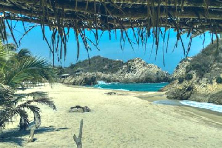 Madison, 32 — Escort in Puerto del Varal, Mexico