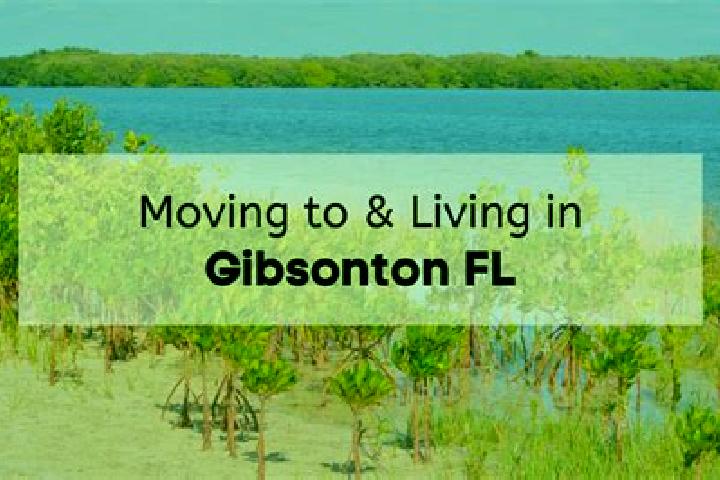 Madison, 33 — Escort in Gibsonton, United States