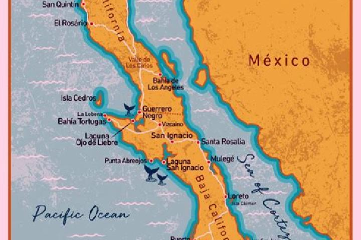 Madison, 33 — Escort in La Peninsula, Mexico