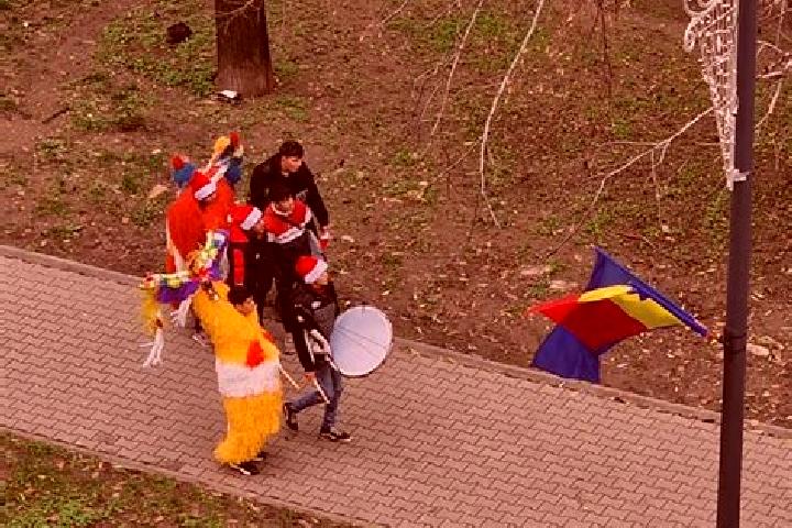 Madison, 33 — Escort in Milcovul, Romania