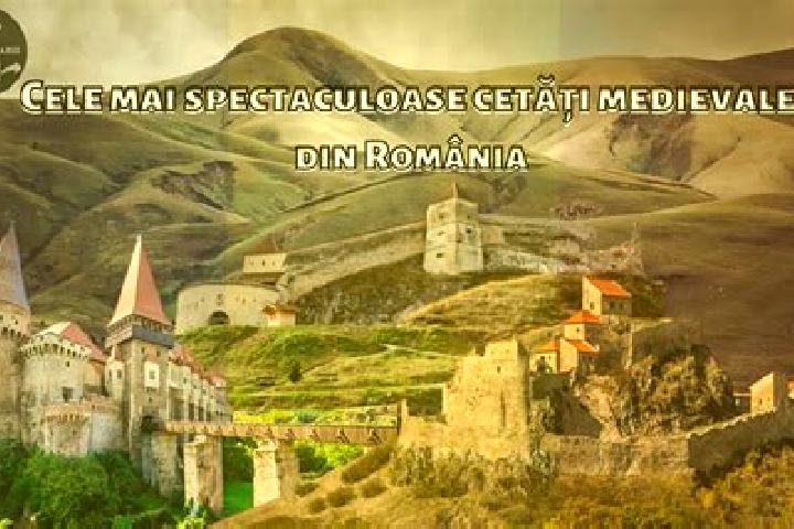 Madison, 33 — Escort in Soimus, Romania
