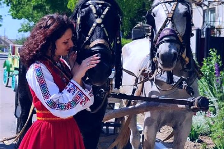 Madison, 33 — Escort in Taraclia, Moldova