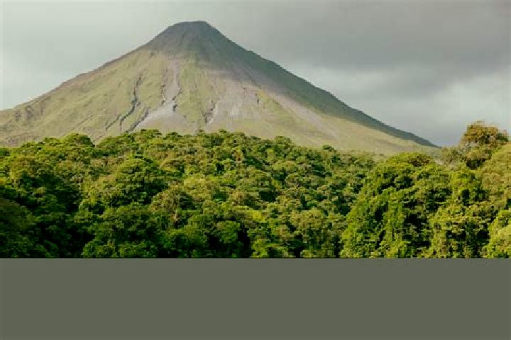 Madison, 34 — Escort in Arenal del Centro (La Maquina), Mexico
