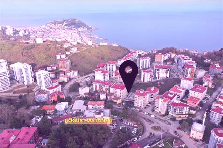Madison, 34 — Escort in Aydinlar, Turkey