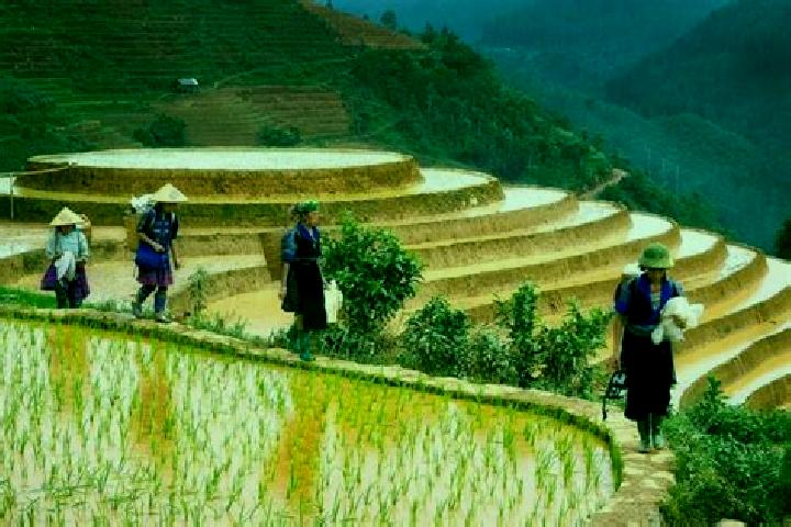 Madison, 34 — Escort in Huu Lung, Vietnam