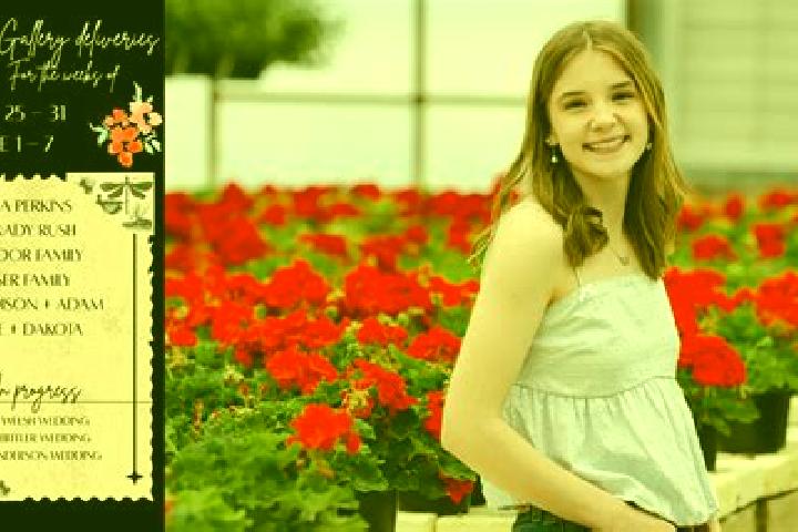 Madison, 34 — Escort in Jouy, France