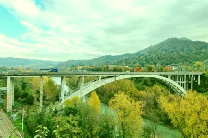 Madison, 34 — Escort in Ponte Sasso, Italy