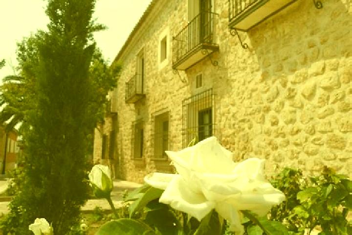 Madison, 34 — Escort in Puebla de Lillo, Spain