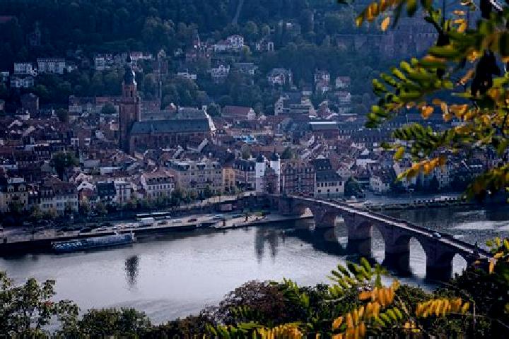 Madison, 34 — Escort in Rottingen, Germany