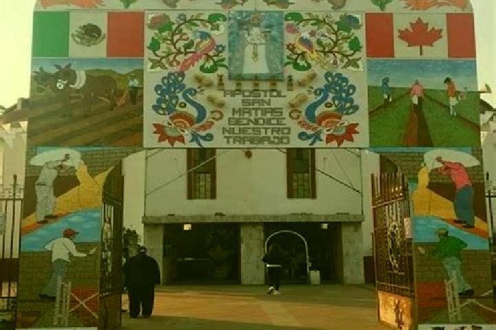 Madison, 34 — Escort in San Matias Cuijingo, Mexico