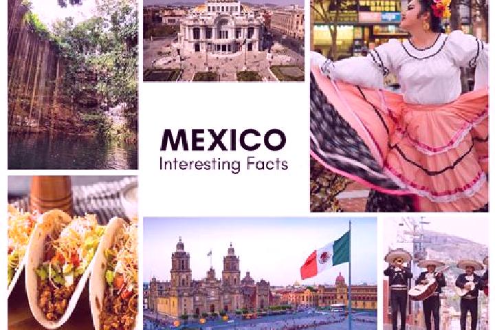 Madison, 34 — Escort in Tanute, Mexico