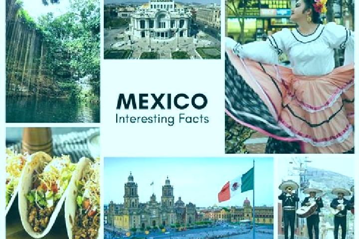 Madison, 34 — Escort in Vicente Herrera, Mexico