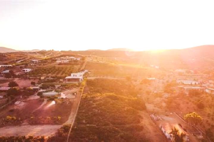 Madison, 34 — Escort in Villa Erendira, Mexico