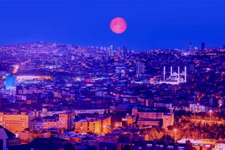 Madison, 34 — Escort in Yagmurlu, Turkey