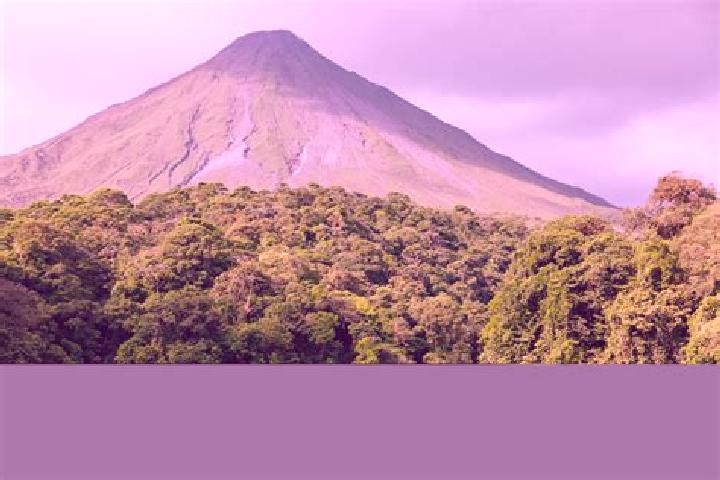 Madison, 35 — Escort in Arenal, Mexico