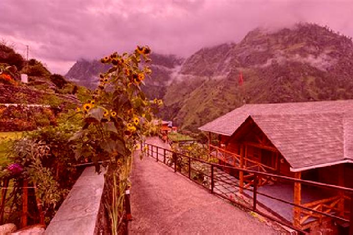 Madison, 35 — Escort in Joshimath, India