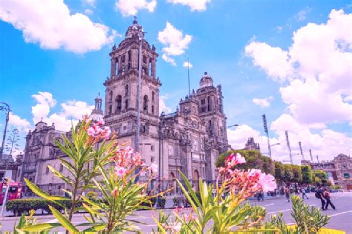 Madison, 35 — Escort in La Roca, Mexico