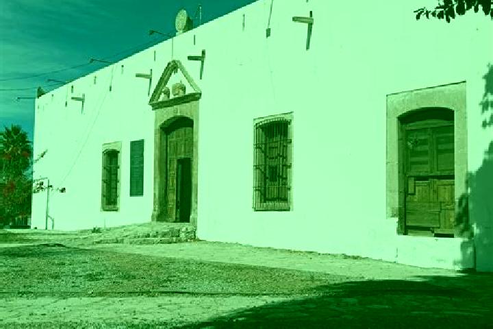 Madison, 35 — Escort in Loma del Cojolite, Mexico