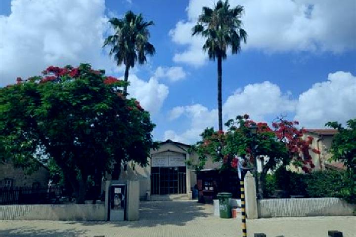 Madison, 35 — Escort in Mazkeret Batya, Israel
